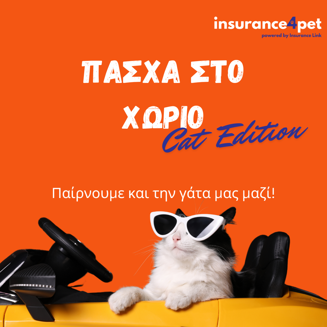 Πάσχα στο χωριό με την γάτα μας